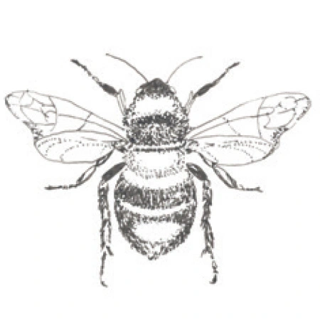 Biene