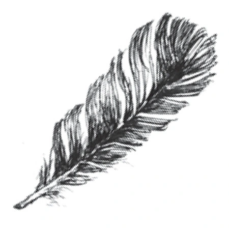 Feder