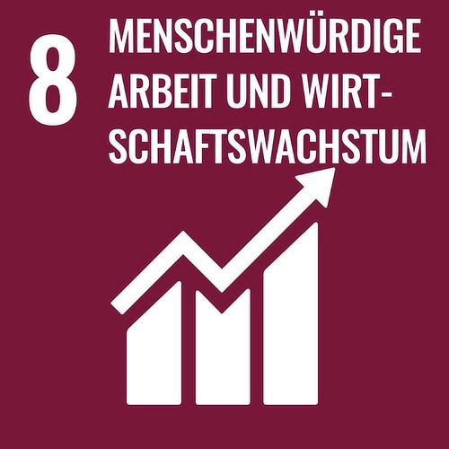 SDG8 - Menschewürdige Arbeit und Wirtschaftswachstum