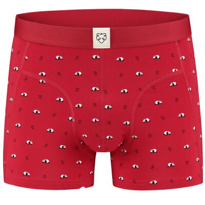 Boxer Brief Ray XXL