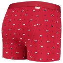 Boxer Brief Ray XXL