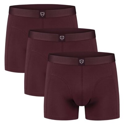 3er-Pack Boxer-Brief Bruno-XL