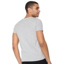 T-Shirt Animal Raccoon Hike Guide Heather Grey