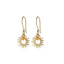 Generous Carnelian Ohrringe GP